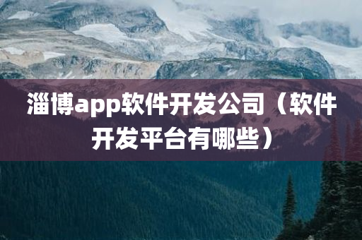 淄博app软件开发公司（软件开发平台有哪些）