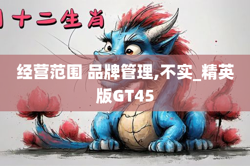 经营范围 品牌管理,不实_精英版GT45