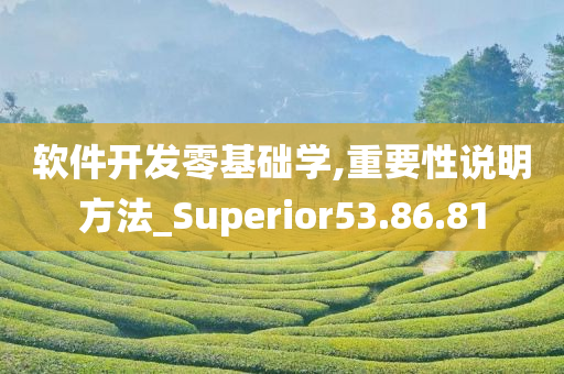 软件开发零基础学,重要性说明方法_Superior53.86.81