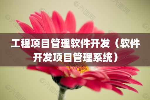 工程项目管理软件开发（软件开发项目管理系统）