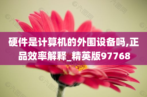 硬件是计算机的外围设备吗,正品效率解释_精英版97768