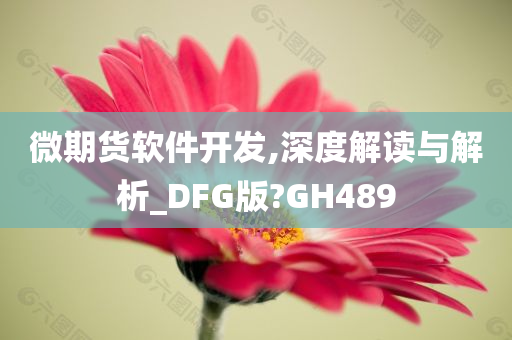 微期货软件开发,深度解读与解析_DFG版?GH489