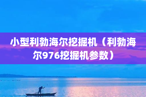 小型利勃海尔挖掘机（利勃海尔976挖掘机参数）