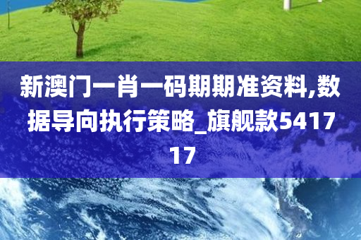 新澳门一肖一码期期准资料,数据导向执行策略_旗舰款541717