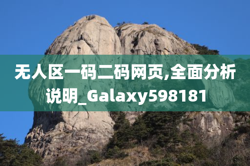 无人区一码二码网页,全面分析说明_Galaxy598181