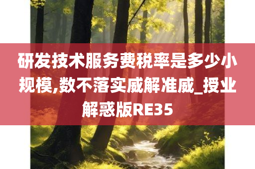 研发技术服务费税率是多少小规模,数不落实威解准威_授业解惑版RE35