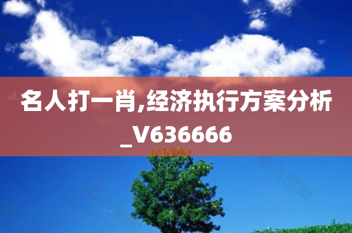 名人打一肖,经济执行方案分析_V636666