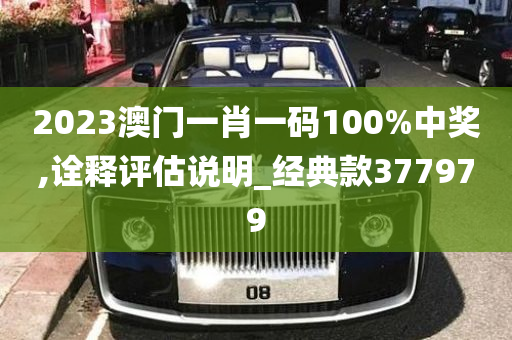 2023澳门一肖一码100%中奖,诠释评估说明_经典款377979