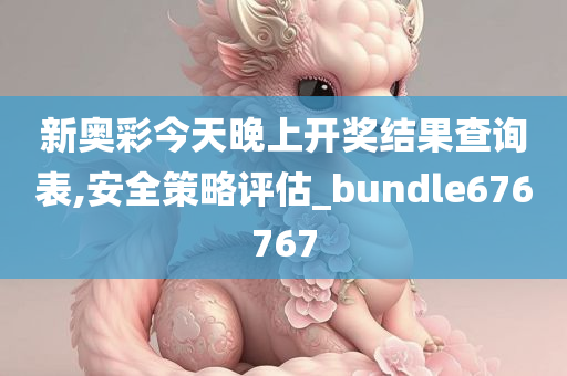 新奥彩今天晚上开奖结果查询表,安全策略评估_bundle676767