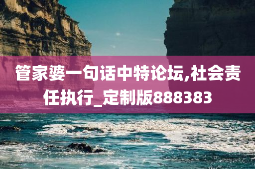 管家婆一句话中特论坛,社会责任执行_定制版888383