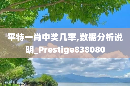 平特一肖中奖几率,数据分析说明_Prestige838080