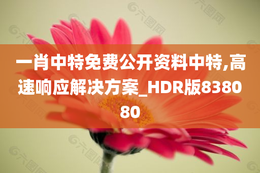 一肖中特免费公开资料中特,高速响应解决方案_HDR版838080