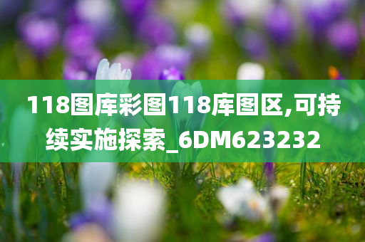 118图库彩图118库图区,可持续实施探索_6DM623232