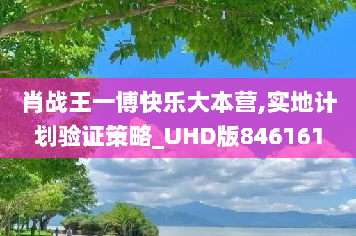 肖战王一博快乐大本营,实地计划验证策略_UHD版846161