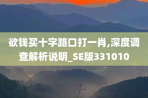 欲钱买十字路口打一肖,深度调查解析说明_SE版331010