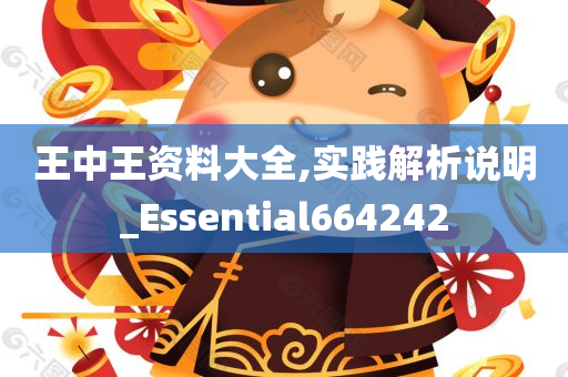 王中王资料大全,实践解析说明_Essential664242