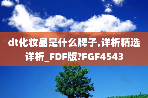 dt化妆品是什么牌子,详析精选详析_FDF版?FGF4543