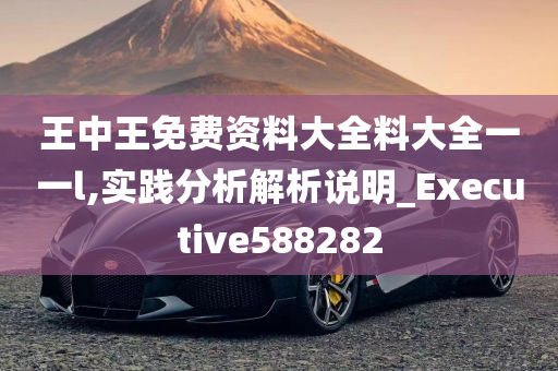 王中王免费资料大全料大全一一l,实践分析解析说明_Executive588282