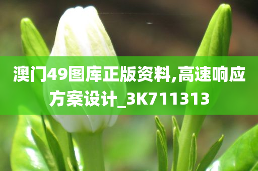 澳门49图库正版资料,高速响应方案设计_3K711313