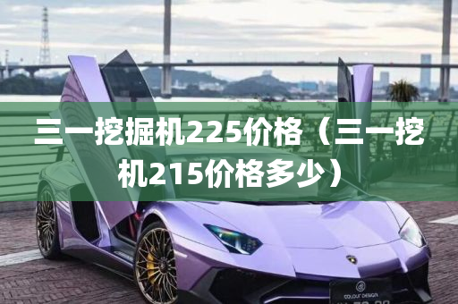 三一挖掘机225价格（三一挖机215价格多少）