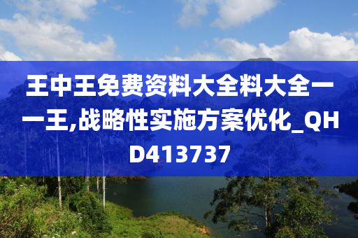 王中王免费资料大全料大全一一王,战略性实施方案优化_QHD413737