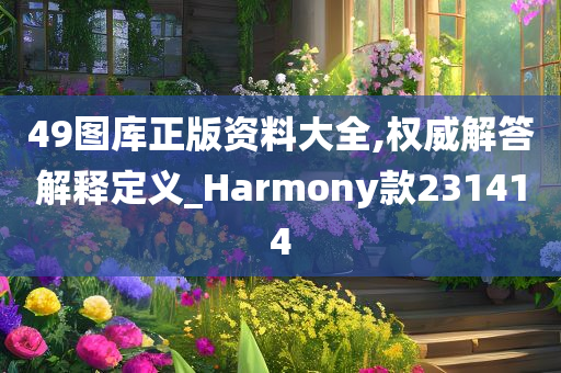 49图库正版资料大全,权威解答解释定义_Harmony款231414