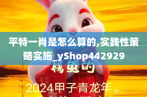 平特一肖是怎么算的,实践性策略实施_yShop442929