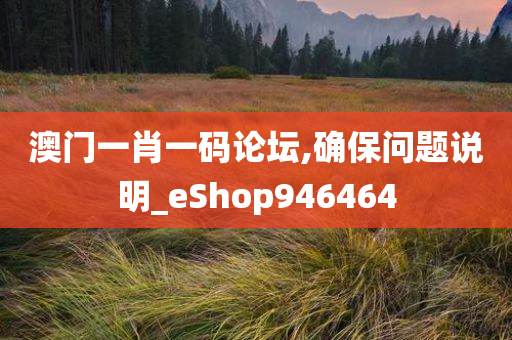 澳门一肖一码论坛,确保问题说明_eShop946464