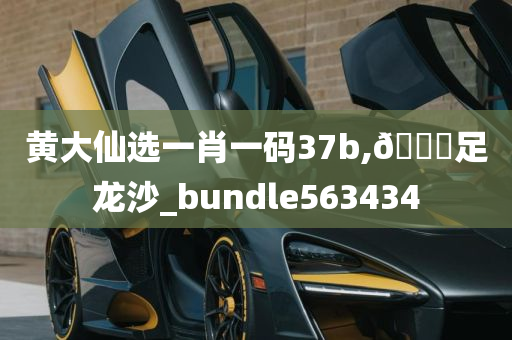 黄大仙选一肖一码37b,🐎足龙沙_bundle563434