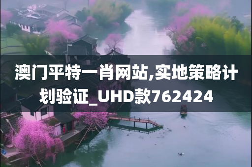 澳门平特一肖网站,实地策略计划验证_UHD款762424