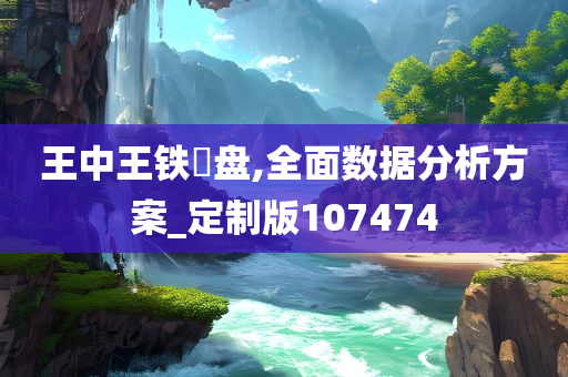 王中王铁篔盘,全面数据分析方案_定制版107474