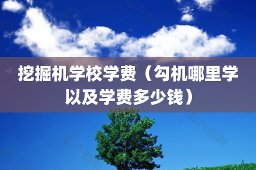 挖掘机学校学费（勾机哪里学以及学费多少钱）