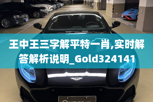 王中王三字解平特一肖,实时解答解析说明_Gold324141