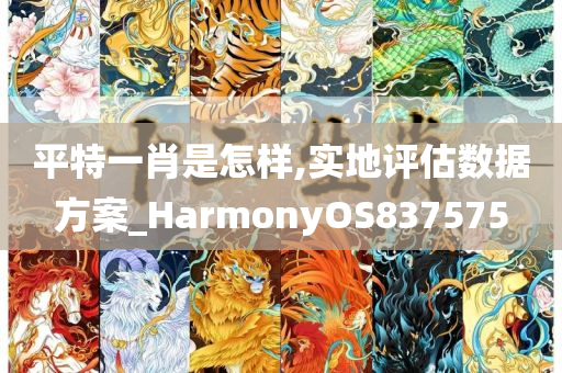 平特一肖是怎样,实地评估数据方案_HarmonyOS837575