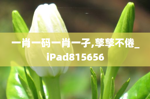 一肖一码一肖一孑,孳孳不倦_iPad815656