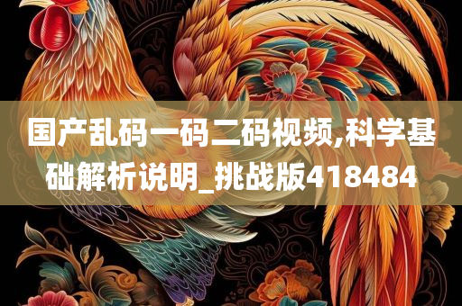 国产乱码一码二码视频,科学基础解析说明_挑战版418484