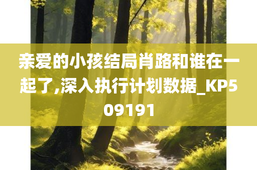 亲爱的小孩结局肖路和谁在一起了,深入执行计划数据_KP509191