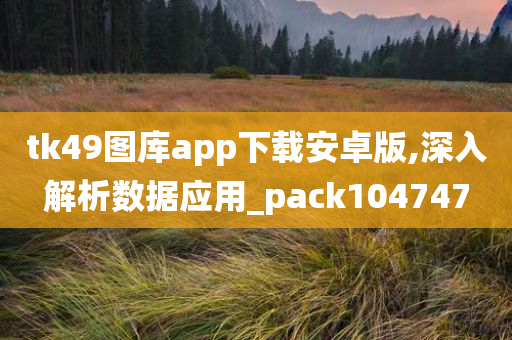 tk49图库app下载安卓版,深入解析数据应用_pack104747