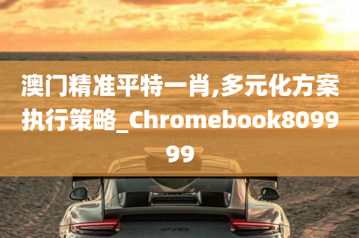 澳门精准平特一肖,多元化方案执行策略_Chromebook809999