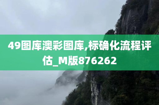 49图库澳彩图库,标确化流程评估_M版876262