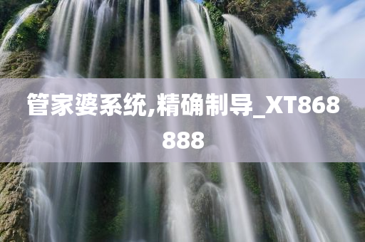 管家婆系统,精确制导_XT868888