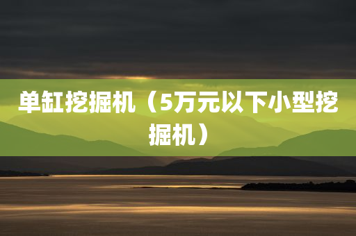 单缸挖掘机（5万元以下小型挖掘机）