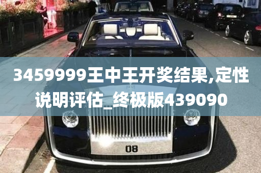 3459999王中王开奖结果,定性说明评估_终极版439090