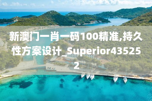 新澳门一肖一码100精准,持久性方案设计_Superior435252