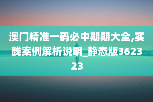 澳门精准一码必中期期大全,实践案例解析说明_静态版362323