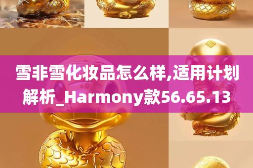 雪非雪化妆品怎么样,适用计划解析_Harmony款56.65.13