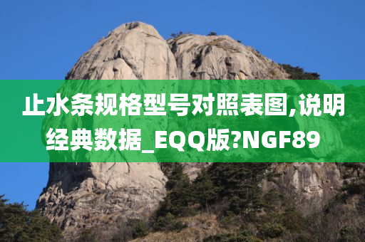 止水条规格型号对照表图,说明经典数据_EQQ版?NGF89