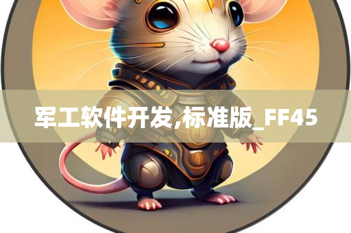 军工软件开发,标准版_FF45