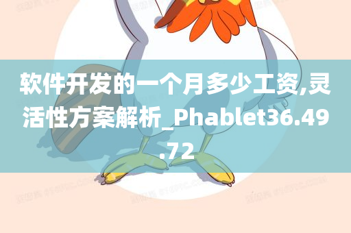 软件开发的一个月多少工资,灵活性方案解析_Phablet36.49.72