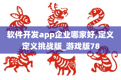 软件开发app企业哪家好,定义定义挑战版_游戏版78